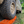 ActionTrax Traction Boards - Owl Vans