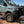 Owl Headlight Decals - Owl Vans